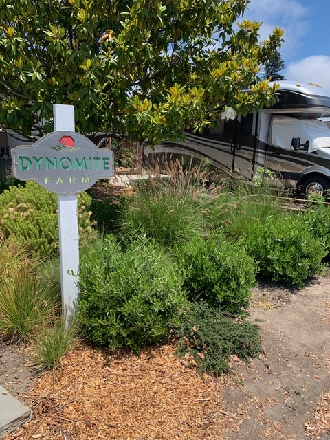 RV/Trailer Camping- Dynomite Farm