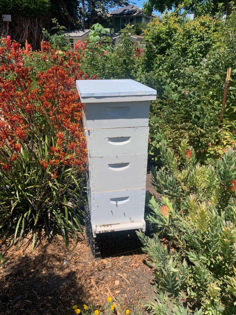 Bee Hives at Dynomite Farm