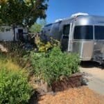 Stay at Dynomite Farm - Santa Cruz, California