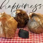 Black Garlic & Black Garlic Powder - Dynomite Farm