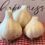 Organic Music Garlic - Dynomite Farm