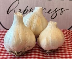 Organic Music Garlic - Dynomite Farm