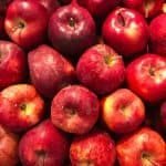 Heritage Apples - Dynomite Farm - Santa Cruz, California