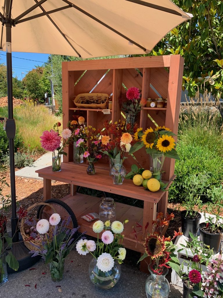 Market Cart - Dynomite Farm - Santa Cruz, California