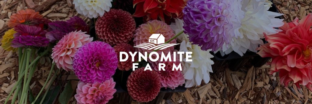 Dynomite Farm - Santa Cruz, California