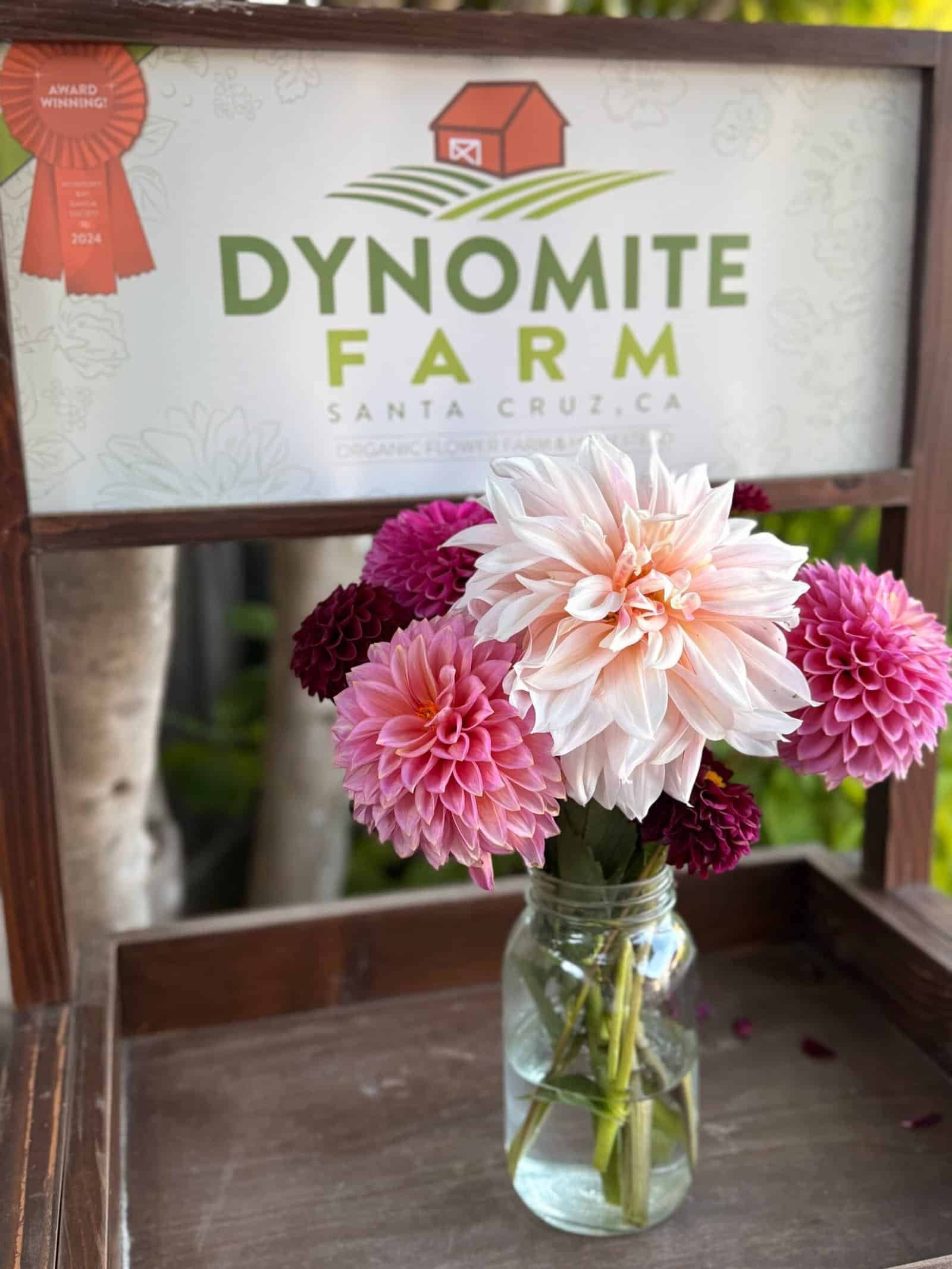 Stay at Dynomite Farm
