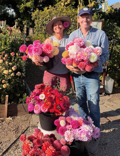 Holiday Gift Cards & Memberships at Dynomite Farm