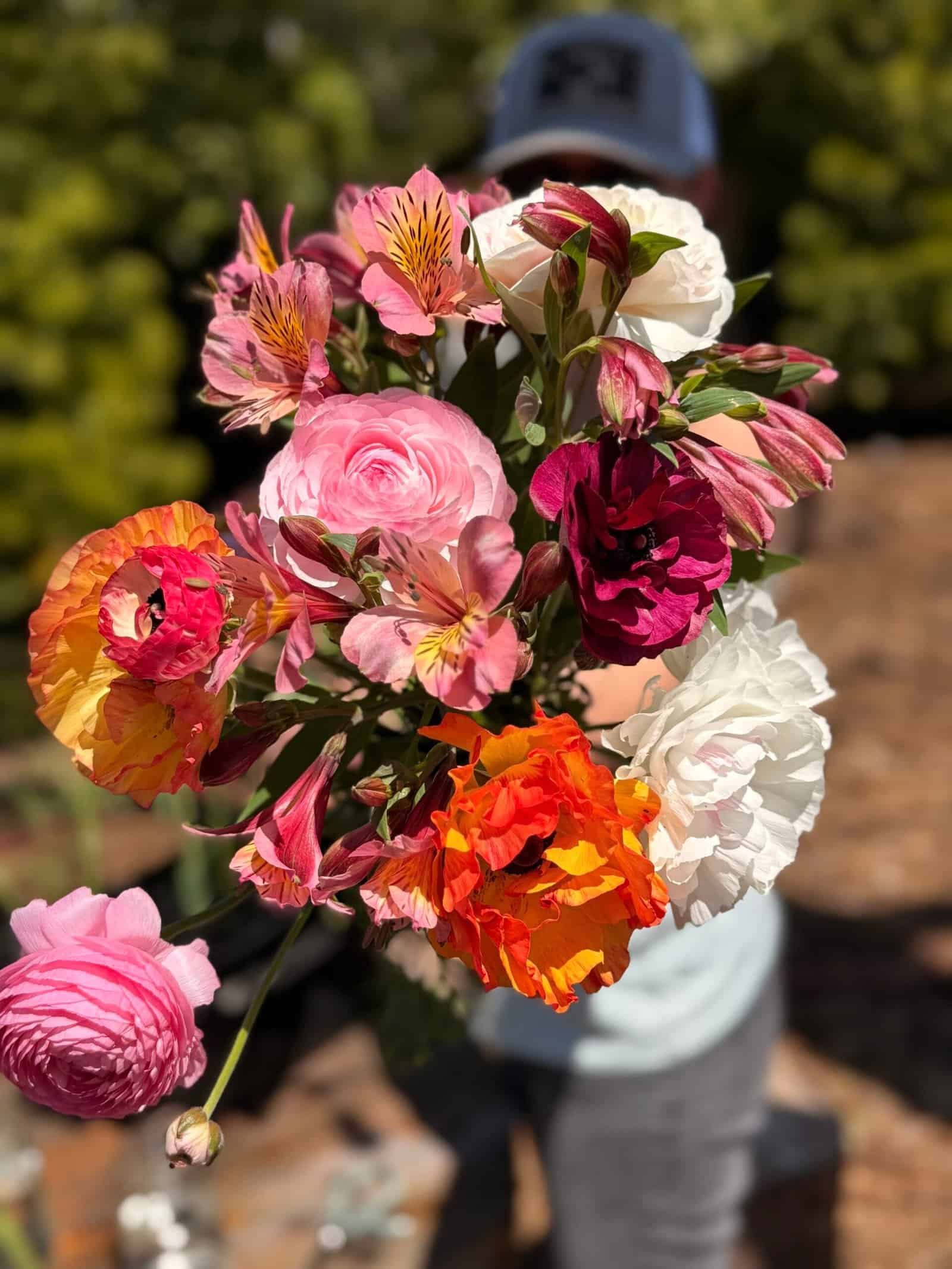 Dynomite Farm garden scene