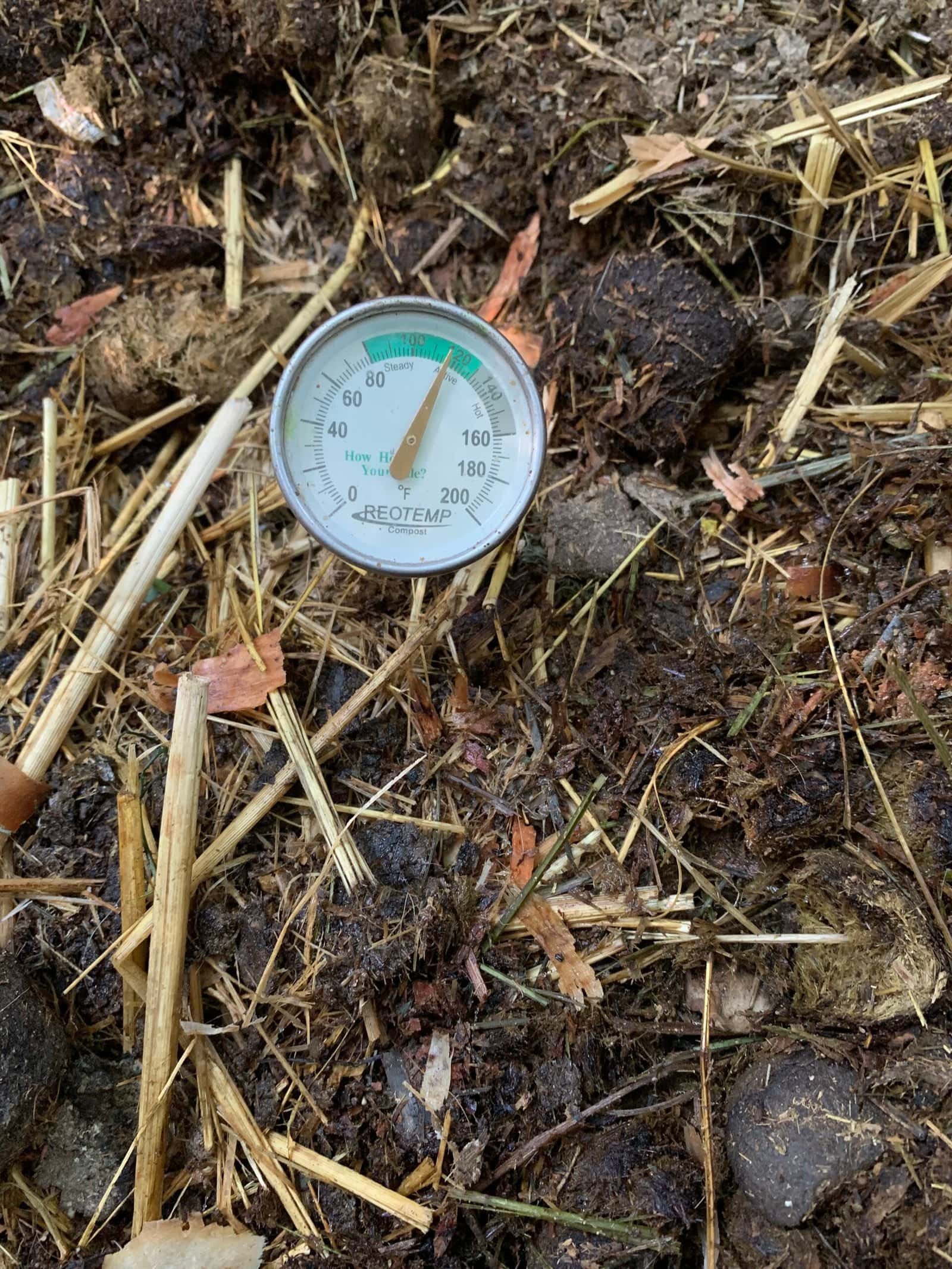 Compost at Dynomite Farm 8