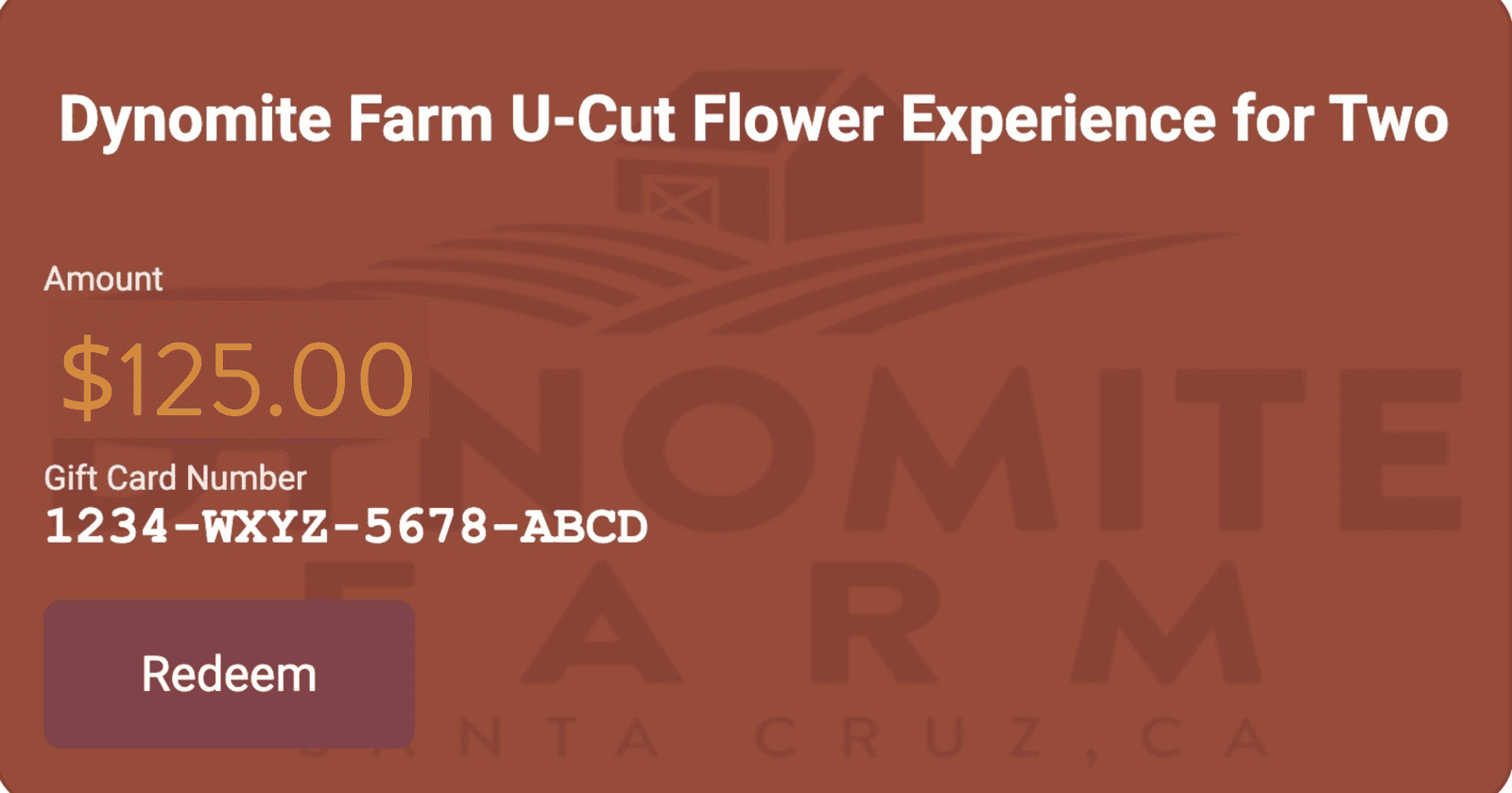 Dynomite Farm U-Cut Flower Experience for Two gift card