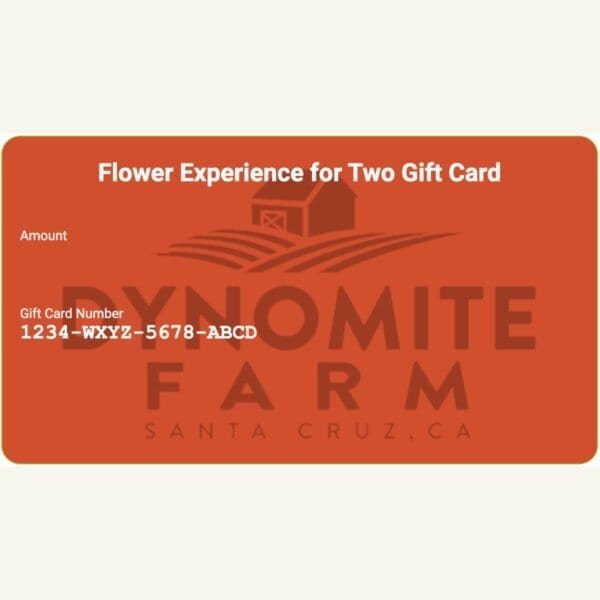 Gift — U Cut Flower Experience for Two