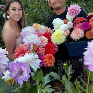 Just Because U-Cut Flower Experience