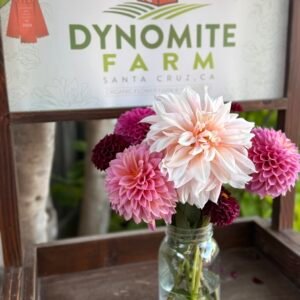 Farm Tour — Behind the Scenes