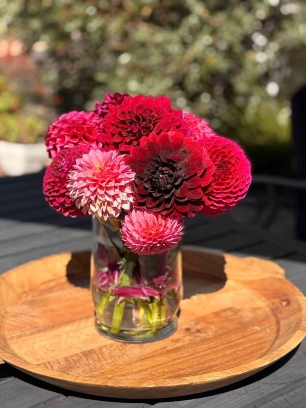 Flower Bouquets