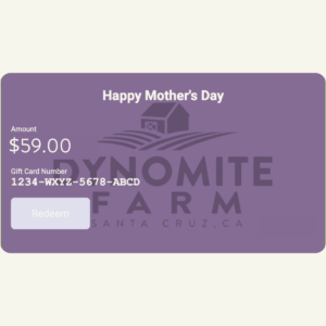 Mother's Day U-Cut Flower Experience