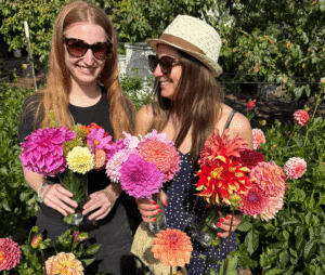 U Cut flowers Santa Cruz private dahlia experience at Dynomite Farm