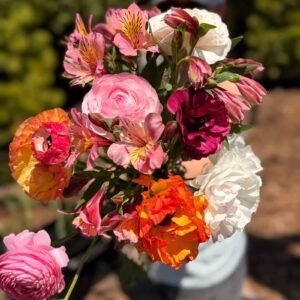 8 Week U-Cut Flower Experience Subscription