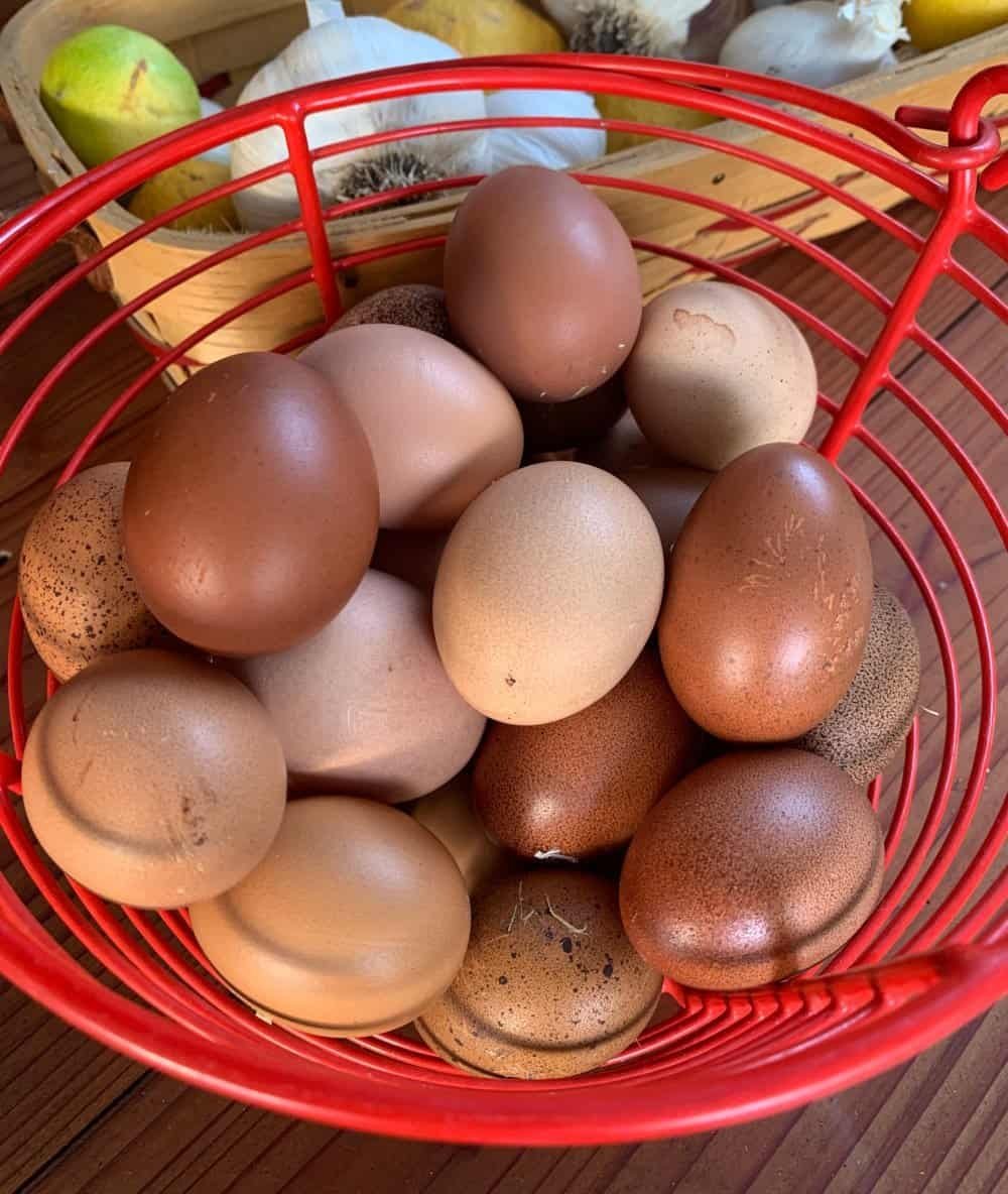 Fresh Eggs (local pickup only) - Image 6