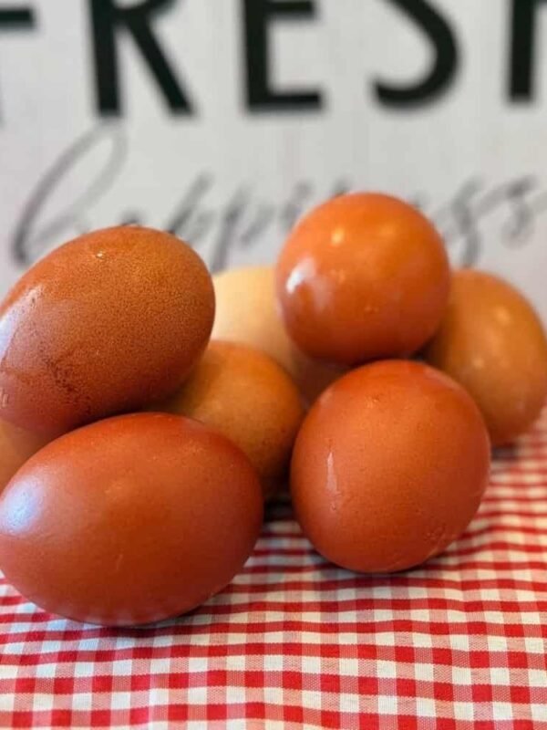 Fresh Eggs (local pickup only)