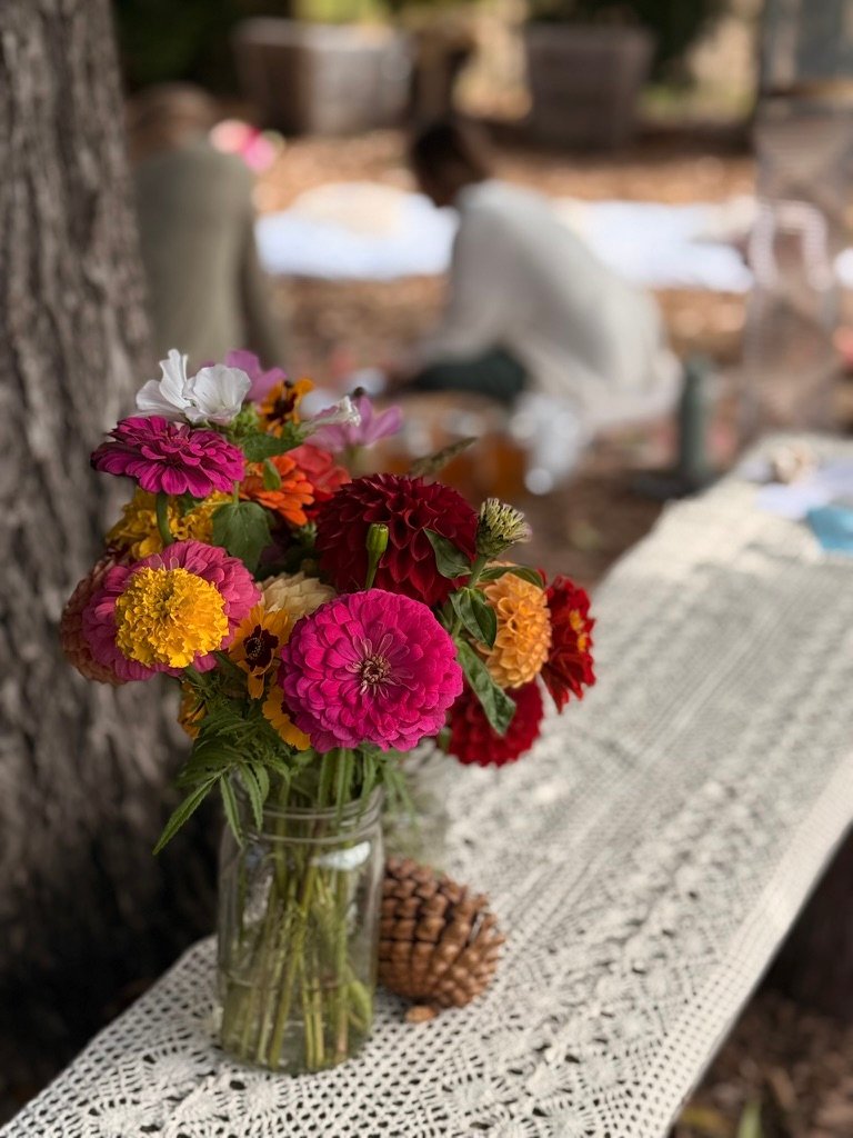 flower picking Santa Cruz u-cut dahlia experience at Dynomite Farm