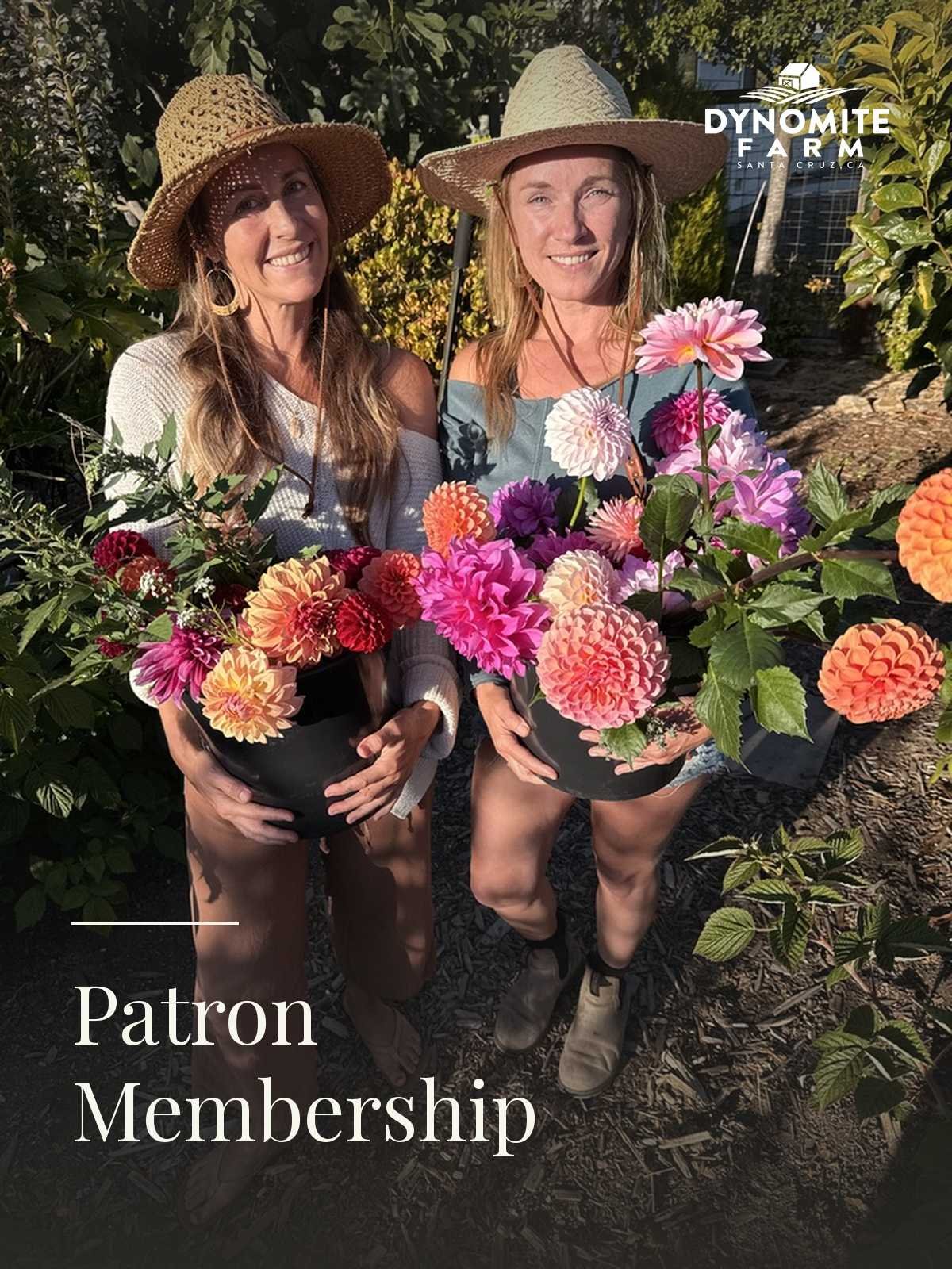 Two guests in sun hats hold buckets of cut dahlias in the raised beds at Dynomite Farm
