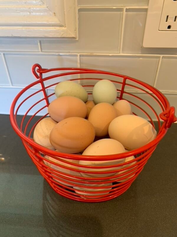 dynomite farm eggs