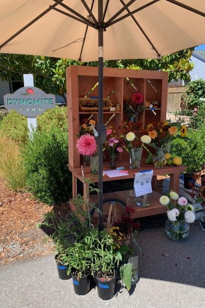 Market Cart – Dynomite Farm – Santa Cruz, California Market Cart - Dynomite Farm - Santa Cruz, California